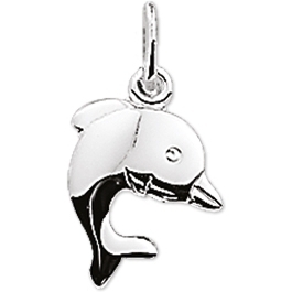 Treasure Collection TC-43094 Zilveren bedel dolfijn