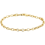 The House Of Jewels THOJ2497 14 karaat gouden armband met anker schakel 18,5 cm