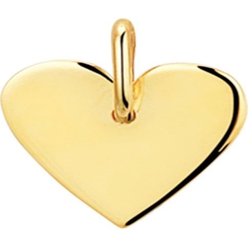 Treasure Collection TC-46530 14 karaat gouden hanger graveerhanger