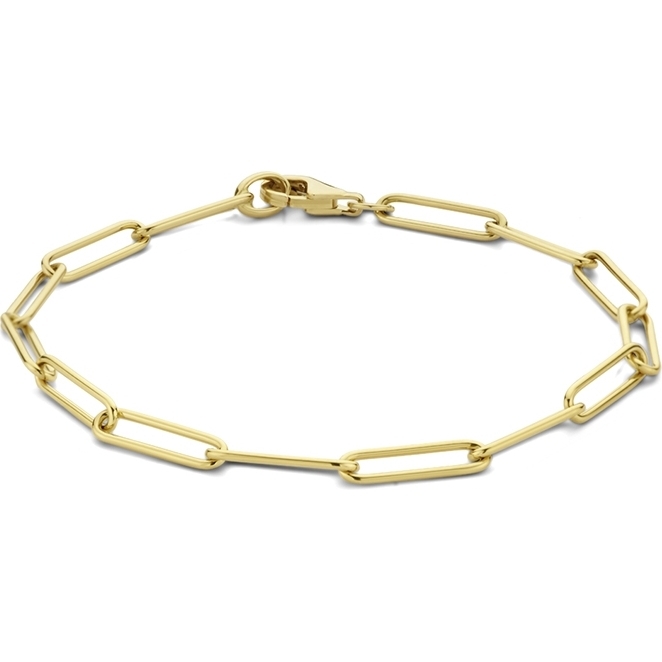 The House Of Jewels THOJ0653 14k gouden paperclip schakelarmband 3,9 mm