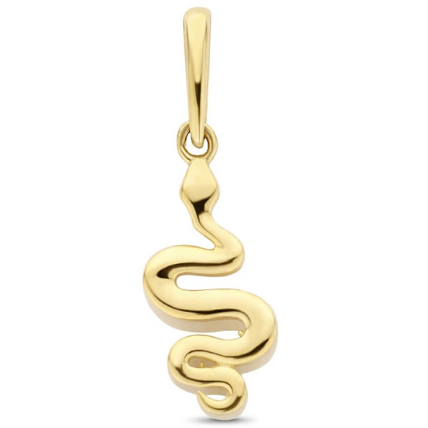 Treasure Collection Q538 14k gouden hanger slang 17 mm
