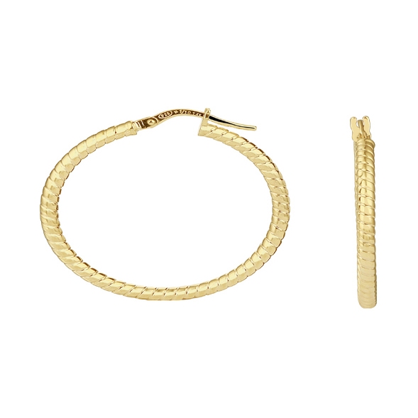 Treasure Collection L582 14 karaat Zilgold oorringen