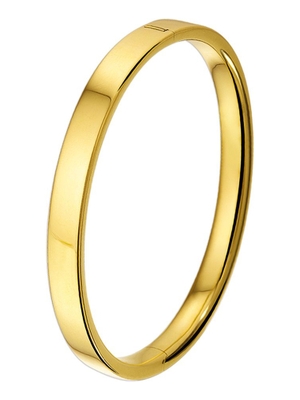 The House Of Jewels THOJ0922 14k gouden slavenarmband vlak 6 mm
