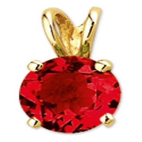 Treasure Collection TC-881619 14 karaat gouden hanger met granaat 10,5 mm