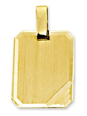 Treasure Collection TC-881312 14 karaat gouden graveerhanger gediamanteerd 18 mm
