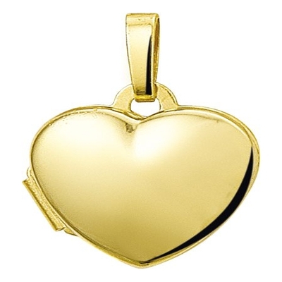 Treasure Collection N685 14 karaat gouden medaillon hart