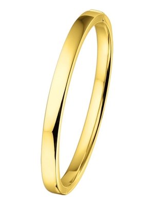 bangle scharnier vlakke buis 6 x 60 mm 14K geelgoud