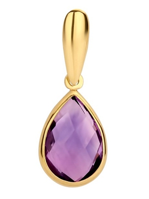 Treasure Collection TC-48874 14 karaat gouden hanger met amethyst