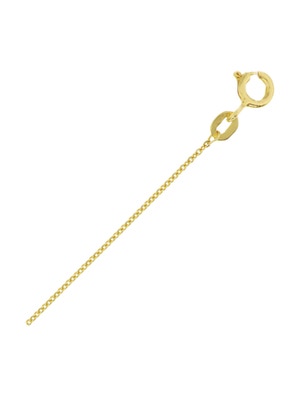 Treasure Collection TC-44314 Gouden ketting ankerschakel 0,8 mm