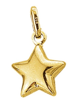 Treasure Collection TC-42907 Gouden bedel ster