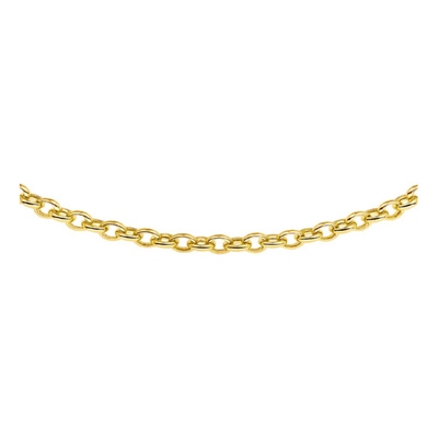The House Of Jewels THOJ0766 14 karaat gouden jasseron collier 5,5 mm