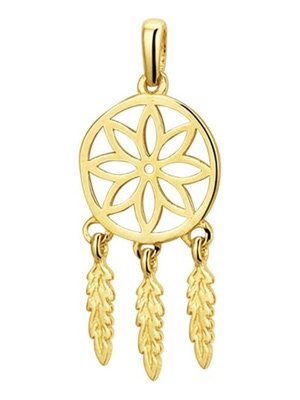 Treasure Collection TC-48439 14 karaat gouden hanger droomvanger