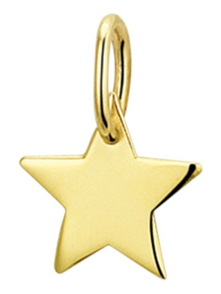 Treasure Collection TC-881328 14 karaat gouden hanger ster 14 mm