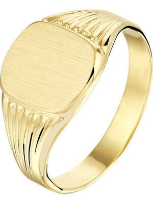 Treasure Collection TC-881920 14 karaat gouden gediamanteerde zegelring 9,5 mm
