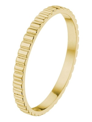 Treasure Collection TC-52421 14 karaat gouden aanschuifring 2 mm L278