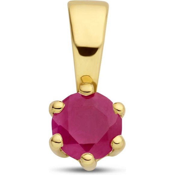 Treasure Collection Q283 14k gouden hanger geboortesteen robijn juli