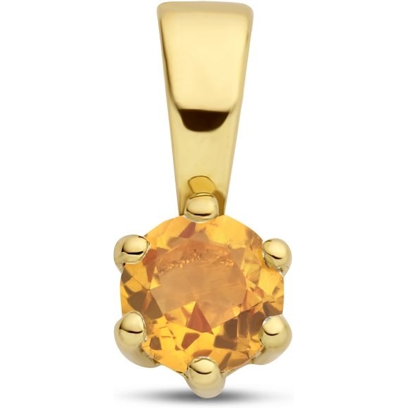 Treasure Collection Q287 14k gouden hanger geboortesteen citrien november
