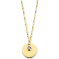 graveercollier met zirkonia geboortesteen 45 - 47 - 49 cm 14K geelgoud