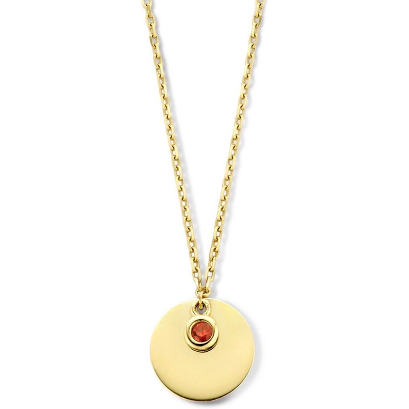 Treasure Collection 883159 14k gouden graveerketting met geboortesteen januari