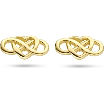oorknoppen hart en infinity 14K geelgoud