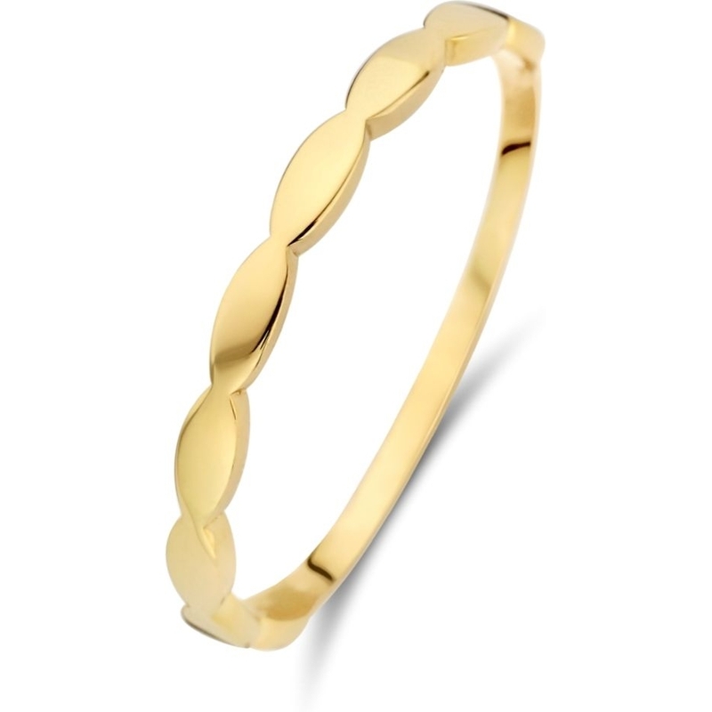 Treasure Collection 883413 14 karaat gouden ring 2 mm