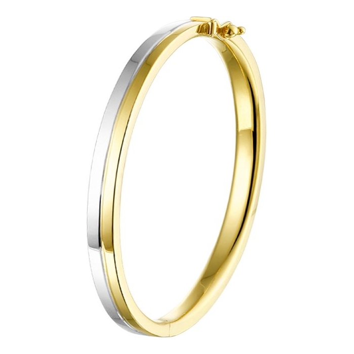 Treasure Collection TC-882173 14k bicolor gouden slavenarmband vlak