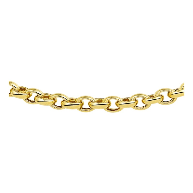 Treasure Collection TC-38979 Geelgouden collier met zilveren kern