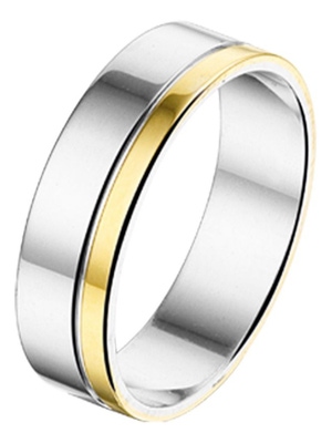 Treasure Collection AL755 Amorio zilver met 14 karaat goud trouwring 5 mm