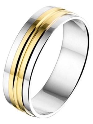 Treasure Collection AL759 Amorio zilver met 14 karaat goud trouwring 5 mm