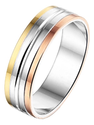 Treasure Collection AL757 Amorio zilver met 14 karaat goud trouwring tricolor 5 mm
